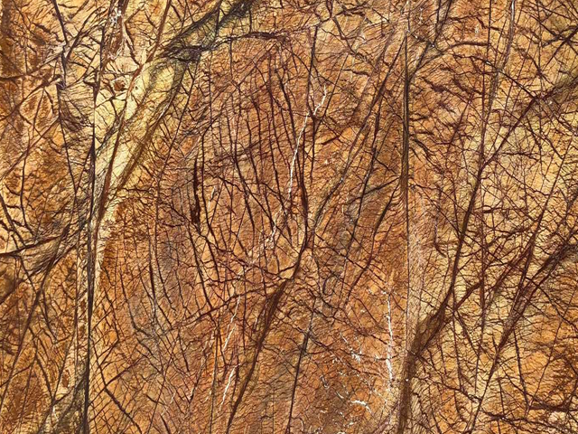 Rain Forest Brown Marble